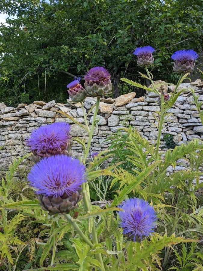 Meyrals La Grange Symphorine, Chambre D'Hotes De Charme Situee Entre La Vallee De La Dordogne Et La Vallee De La Vezere المظهر الخارجي الصورة