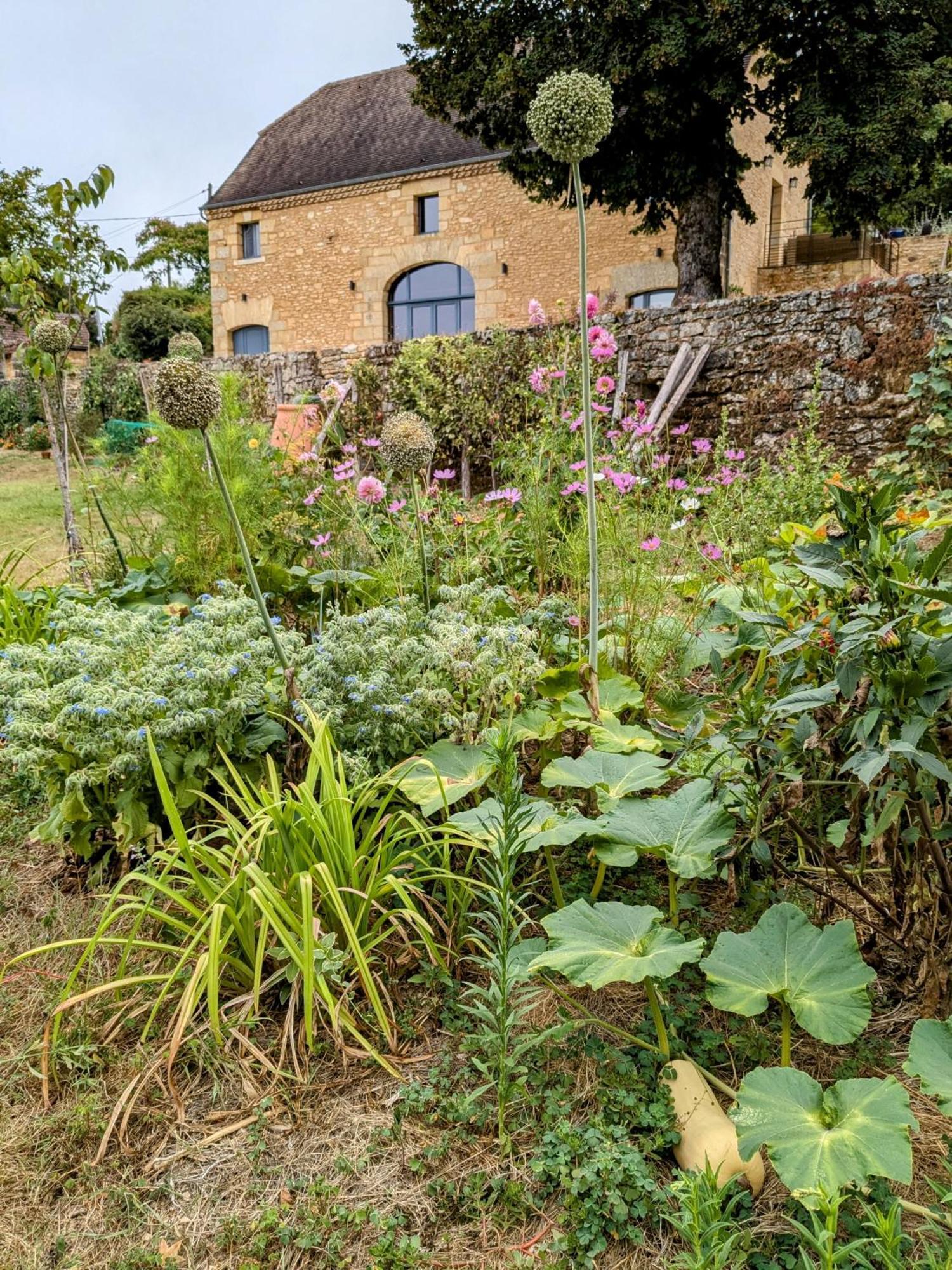 Meyrals La Grange Symphorine, Chambre D'Hotes De Charme Situee Entre La Vallee De La Dordogne Et La Vallee De La Vezere المظهر الخارجي الصورة